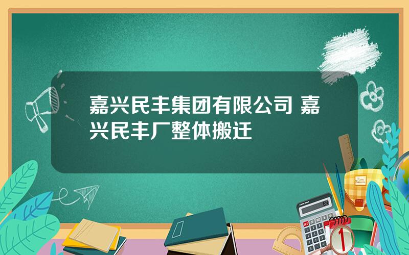 嘉兴民丰集团有限公司 嘉兴民丰厂整体搬迁